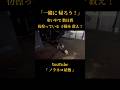 「一緒に帰ろう!」寒い中で 数日間 彷徨っている子猫を救え! #保護猫活動 #子猫保護 #保護猫 #ノラネコ屋敷 #catrescue #rescuecat