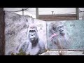 Mark Kastelic Visits Franklin Park Zoo