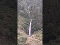 water♥️ fall#trending#shorts#video viral