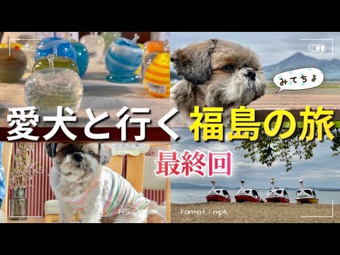 Shih Tzu] Travel to Fukushima with your beloved dog! Lunch with a