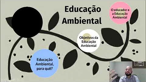 Como o meio ambiente influencia na qualidade de vida?