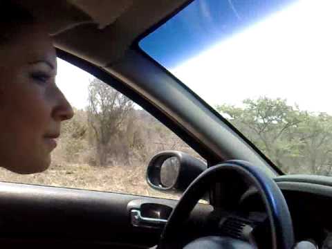 chica sexy manejando - YouTube