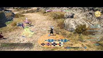 Final Fantasy XIV:ARR Hall of Novice Exercise 7 DPS