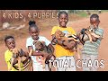 We Took On Four Abandoned Puppies | Puppy Challenge! 🐶🏆