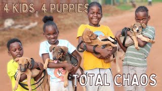 We Took On Four Abandoned Puppies | Puppy Challenge! 🐶🏆