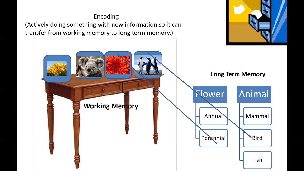 Memory PowerPoint - YouTube