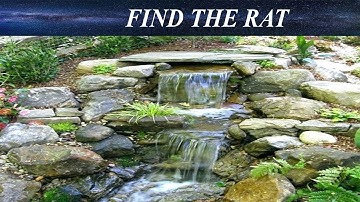 Can You Find The Hidden Objects | 99% Fail | New Game | Brain Teaser | Mind Booster