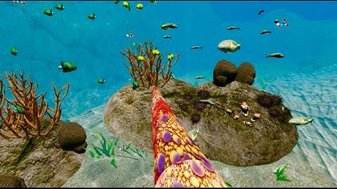 Virtual Reality and the Environment