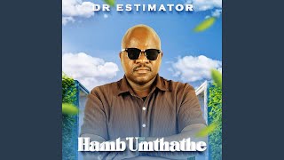 Hamb' umthathe