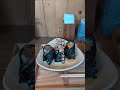 お店の詳細は説明欄に【佐賀】すぐに満席になる人気のおにぎり屋さん#佐賀グルメ #佐賀 #佐賀ランチ