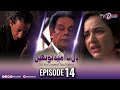 Dil Na Umeed Toh Nahi | Episode 14 | Tv One Dramas