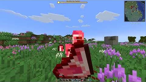 Java runtime gamma 2025 11 30   00 08 21 02