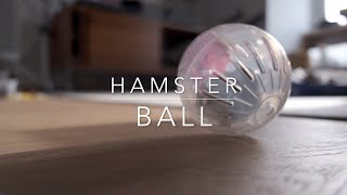 Hamster ball