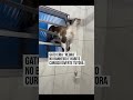 A nova regra do banheiro.
