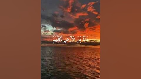 واذا وقع القول عليهم || القارئ اسلام صبحي