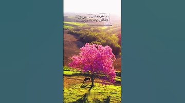 القارئ : احمد النفيس سورة : إبراهيم اية 40 و 41