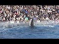 アクアワールド茨城県大洗水族館2012　AQUA WORLD Ibaraki Prefectural Oarai Aquari…