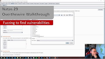 Fuzzing and discovering vulnerabilities - Natas 29 Walkthrough - Overthewire.org