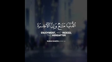 القارئ مشاري فالح سورة (غافر)