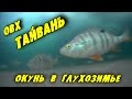 Зимняя Рыбалка ОВХ ТАЙВАНЬ. Окунь в глухозимье.