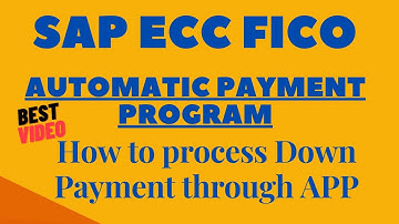Down Payment with Automatic Payment Program F110 | Vendor Advance Payment with F110 -APP