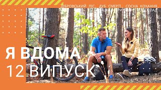 картинка: Я ДОМА! Дибровский лес, Дуб смерти, Сосна любви, Казацкий колодец, Водопад - Выпуск 12