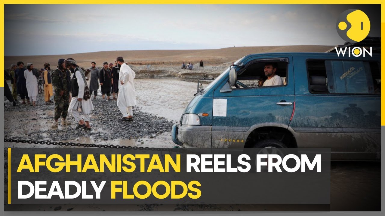At least six killed, 100 homes destroyed in afghan flood | WION Climate Tracker