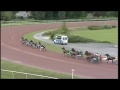 Haras de loudomingo de lou   05 06 2017   saint malo   marville   prix rene duguay trouin   vidos2