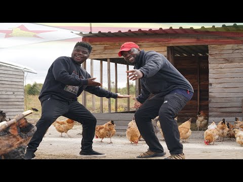 I Left The Uk to Zimbabwe To Start A Poultry Farm Because Of Wodemaya