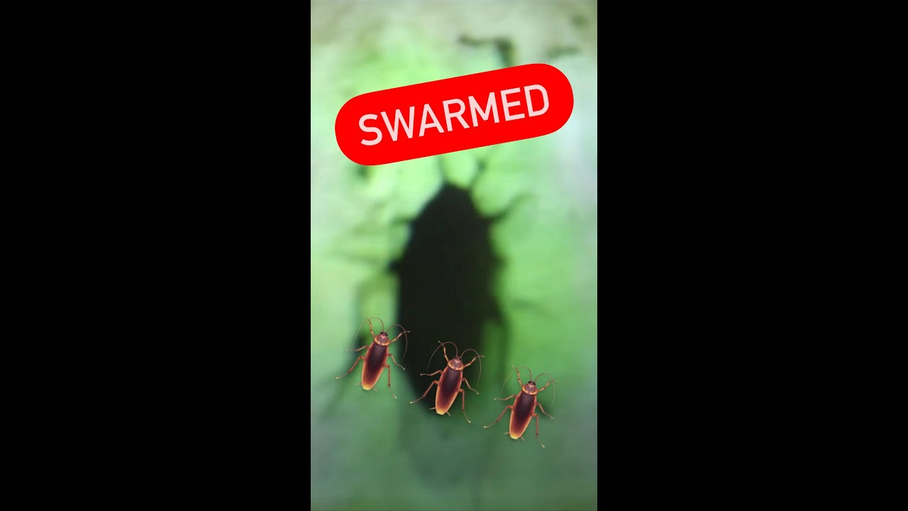 Swarmed by BUGS in Haunted House!!!  🪳🕷🪲