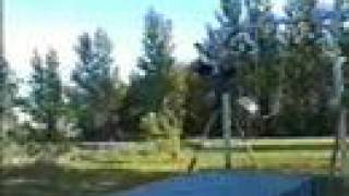 Double Backflip off a Swing