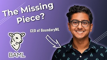 How BAML Makes AI AGENTS 10x More RELIABLE? (We grilled the CEO)