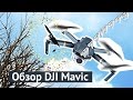 Обзор DJI Mavic (дрон упал во время теста)
