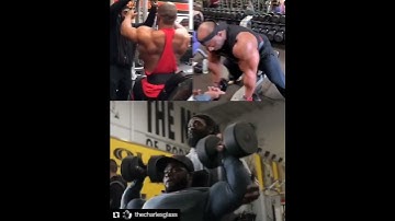 BACK EXERCICE MUST DO BY CHARLES GLASS | LINK IN CHANNEL