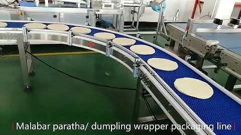 Dumpling wrapper packaging machine,Pita bread/ paratha packaging machine, Chappati packaging system.