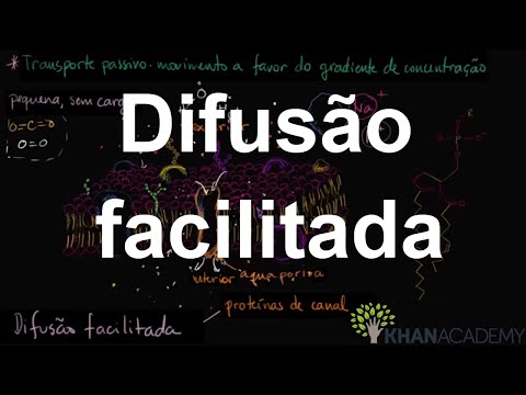 Vídeo: Qual elemento está no grupo 13, período 6?