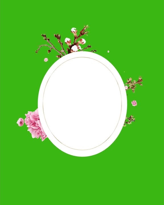 Flower Green Screen Animation | Green Screen Effects | Wedding Invitation Template | Flower Blooming