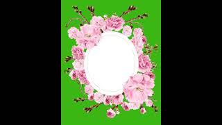 Flower Green Screen Animation  Green Screen Effects  Wedding Invitation Template  Flower Blooming