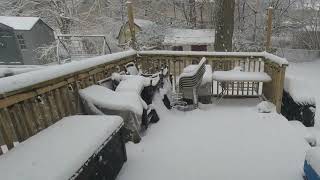 25th of January, 2023 - Ontario Snowstorm timelapse