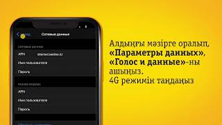 iOS-та интернетті қалай баптау керек