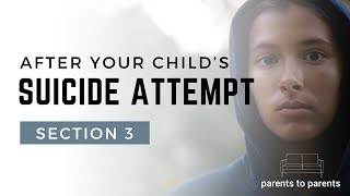 Section 3 | YOUR EMOTIONS