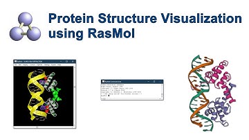 Protein Structure Visualization using RasMol #bioinformatics #protein #structure #visualization #bio