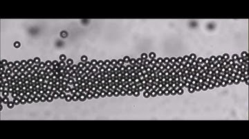 High-Throughput Acoustofluidic Self-Assembly of Colloidal Crystals