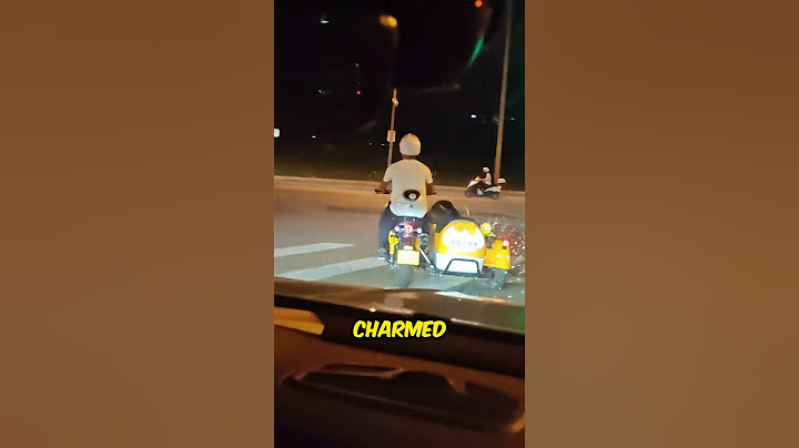 This Dog’s Owner Is Pure Genius