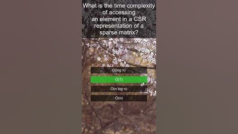 Can You Solve This Tricky Coding Challenge? 🤔 | Competitive Programming Quiz #19