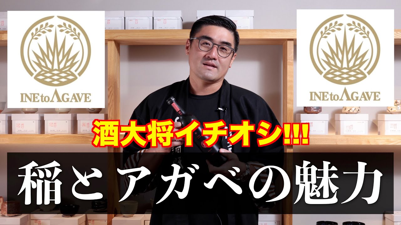 【#509】稲とアガベの魅力【福岡 酒屋 住吉酒販】【稲とリンゴ スパークリング 03】