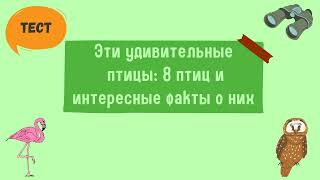 Тест по биологии. Эти удивительные птицы: 8 птиц и интересные факты о них