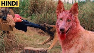 The Breed 2006 Film Explained In Hindiurdu Summarized हद Azim Exp Movie