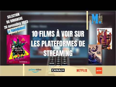 Sorties et loisirs -10 films à voir sur les plateformes de streaming (26.11.23)