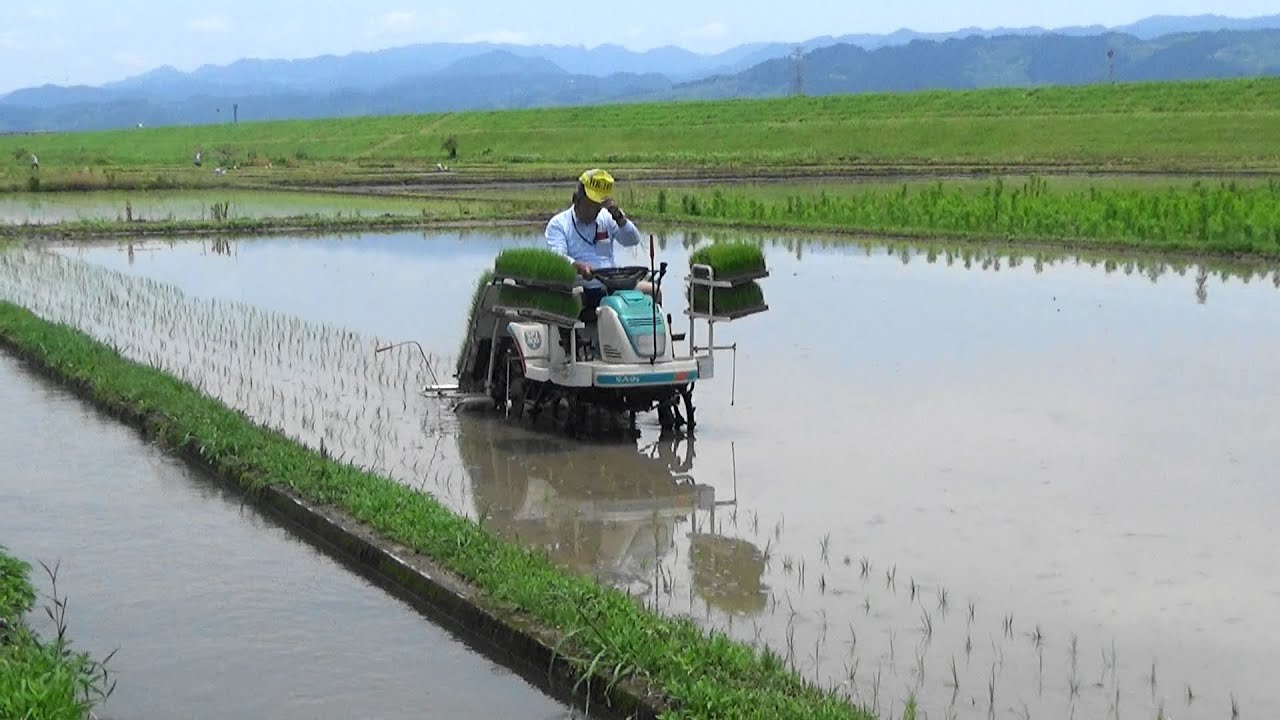 クボタSRJ400K・あぜごえシフト】田植え機で田植えRice planting